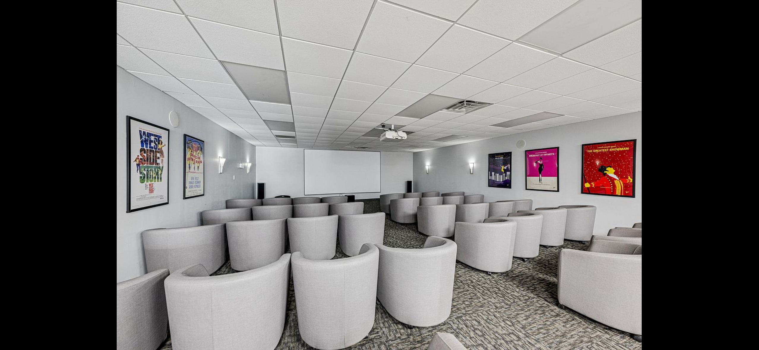 Movie lounge screening area