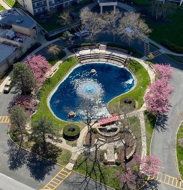 Aerial perspective with pool and bay at The Bay Club